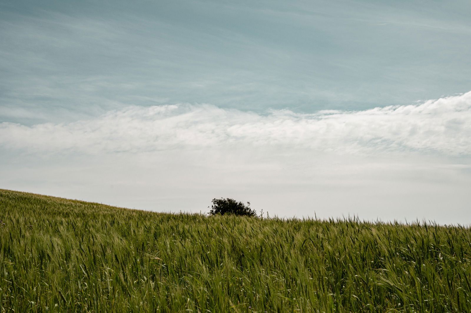Parc Naturel Régional 8