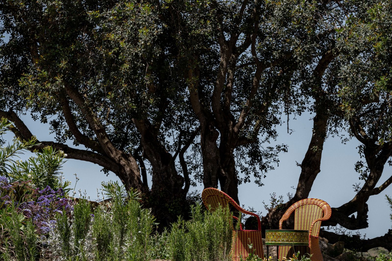 Parc Naturel Régional 12