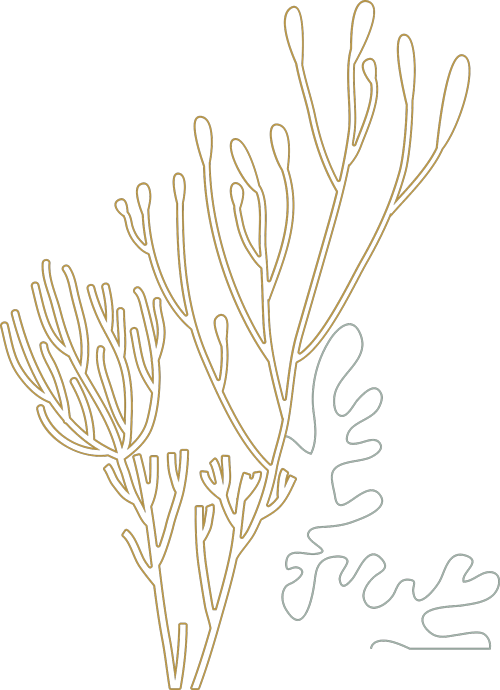 Capovaticano Resort - Mantineo Restaurant 20