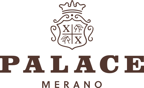Palace Merano Logo
