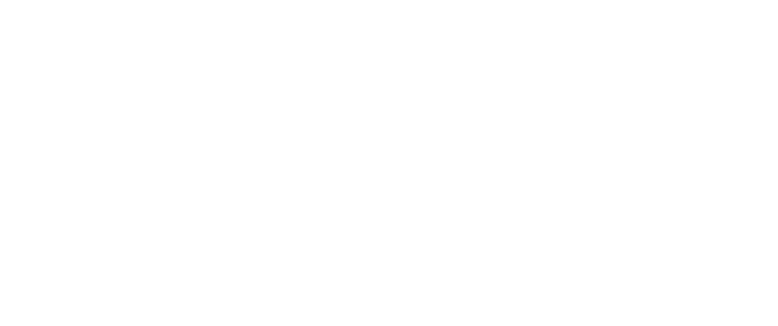 Hotel Barocco Logo