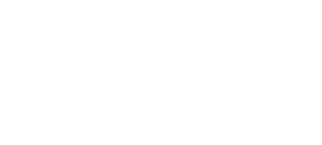 Nemi Hotel Milano Logo